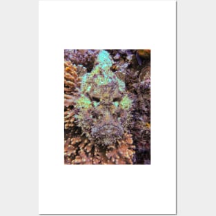 stonefish Posters and Art